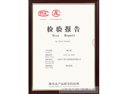 截止閥檢驗(yàn)報告