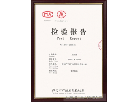 檢驗(yàn)報告