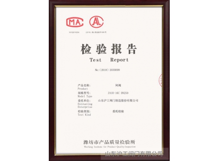 檢驗(yàn)報告